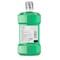 Listerine Listerine Antiseptic Freshburst Mouthwash 16.9 oz. Bottle, PK6 5293753 - alternate 2